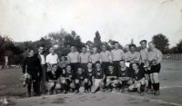 Ветерани