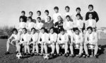 Дунав през сезон 1980/81